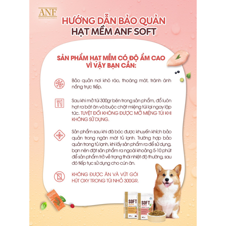 [1.2KG] Hạt Anf Soft Chó Mọi Lứa Tuổi