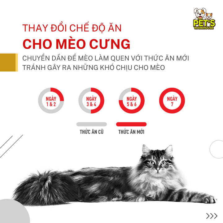 [Combo 3 - 12 Gói] Pate Mèo Royal Canin Urinary S/O, Gói 85g