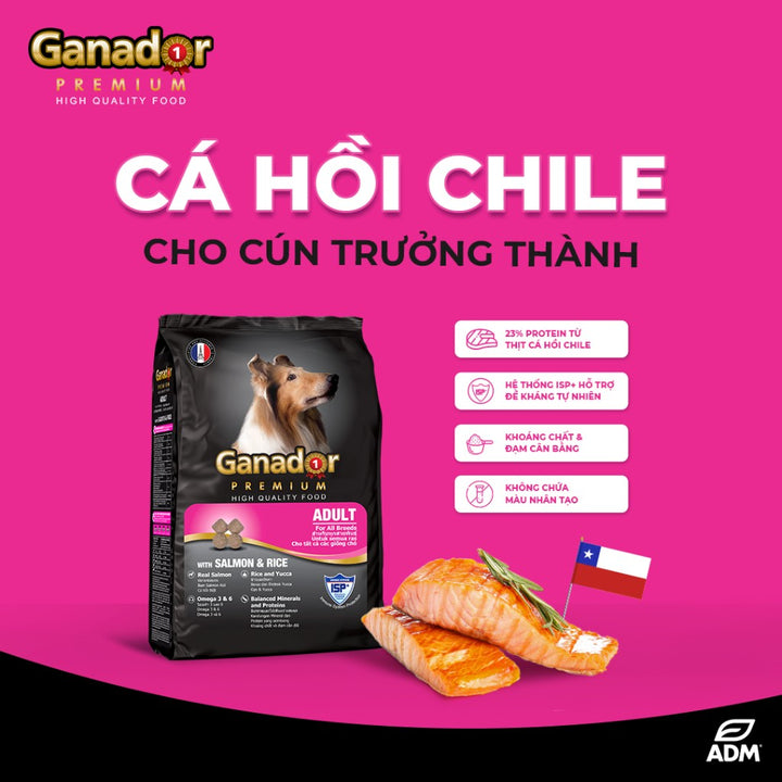 [Combo 2 Gói] Hạt Ganador Cho Chó Mọi Lứa Tuổi – Nhiều Vị Ngon, Túi 3Kg