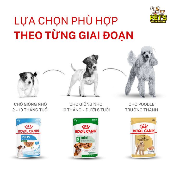 [Combo 3 - 12 Gói] Pate Royal Canin Cho Chó, Gói 85g