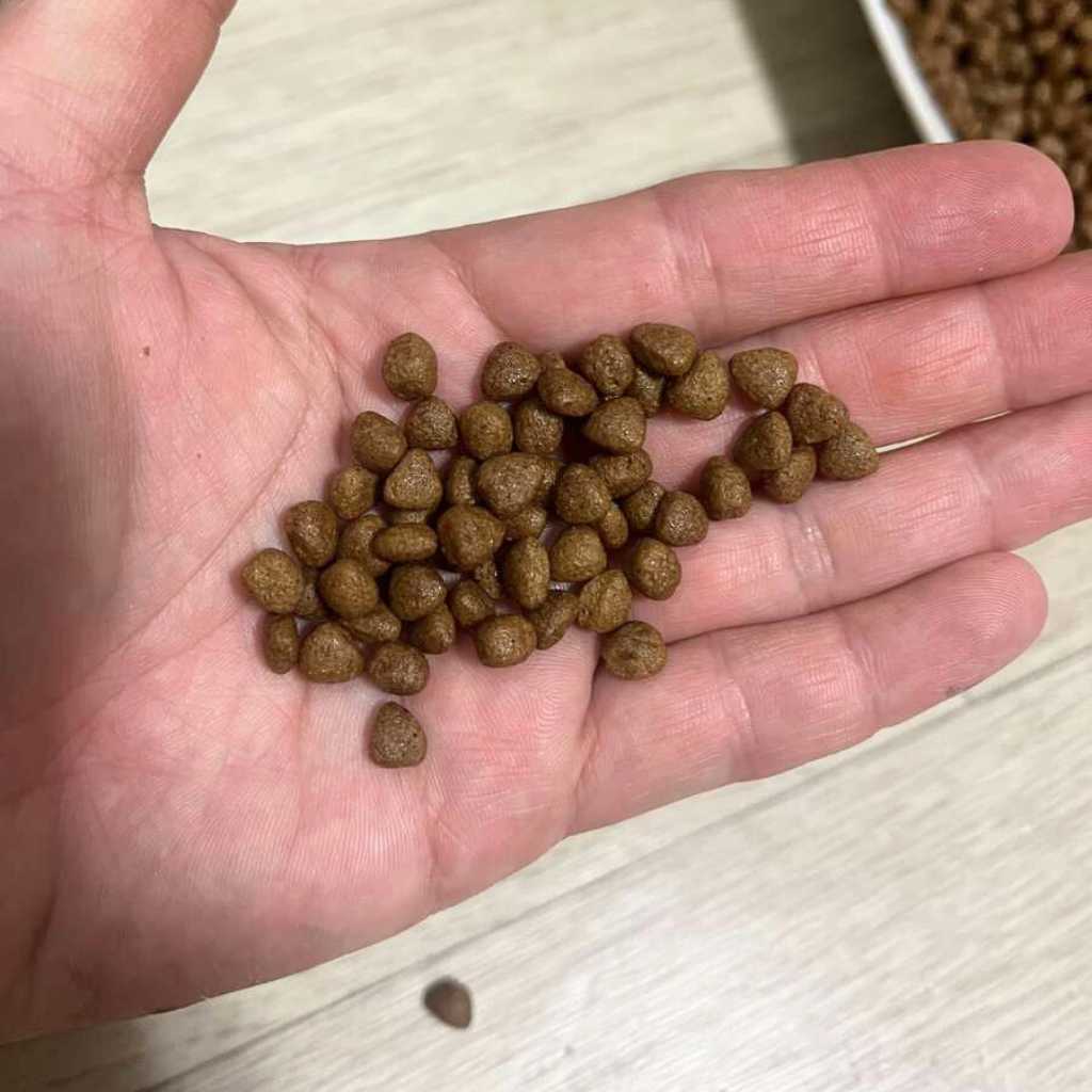 [1.5KG] Hạt Hữu Cơ Natural Core Mèo Trưởng Thành | Pet's Warehouse