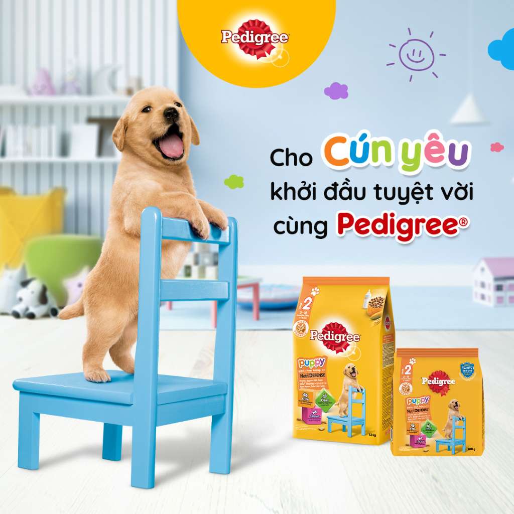 [400G - 2.7KG] Hạt Pedigree Chó Con Trứng Sữa