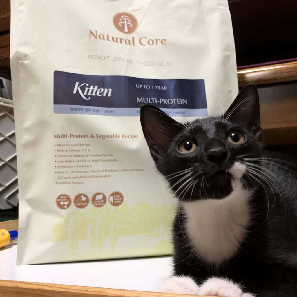 [400G - 2KG] Hạt Hữu Cơ Natural Core Mèo Con