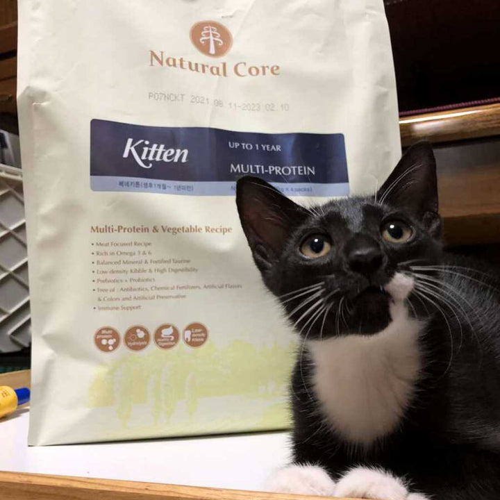 [400G - 2KG] Hạt Hữu Cơ Natural Core Mèo Con