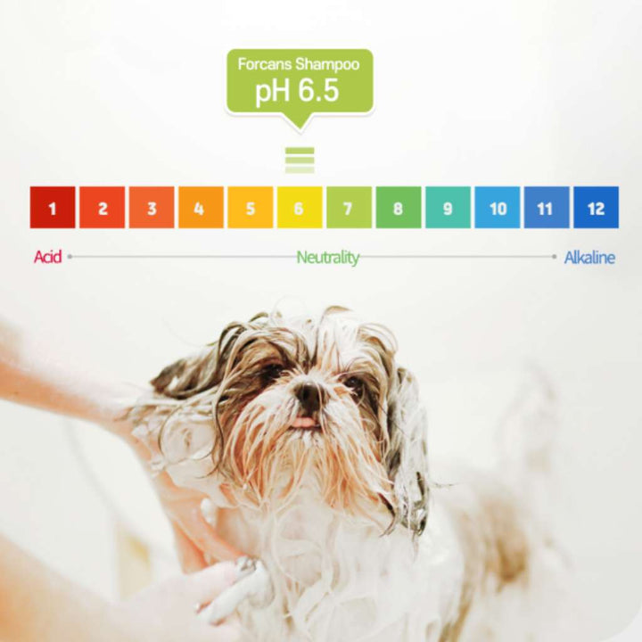 [550ML - 1L] Sữa Tắm Forcans Hàn Quốc Chó Mèo