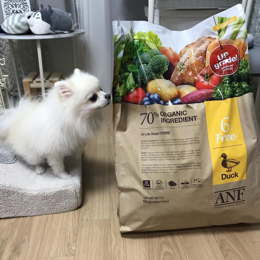 [2KG - 6KG] Hạt Anf 6Free Chó Trên 6 Tháng Tuổi