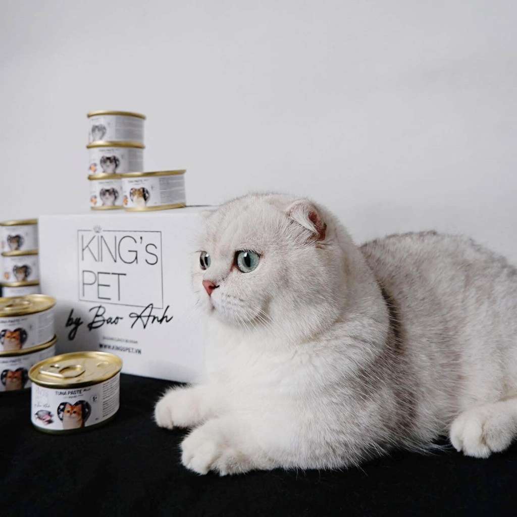 Pate King's Pet Bảo Anh Mèo Mọi Lứa Tuổi Lon 85G