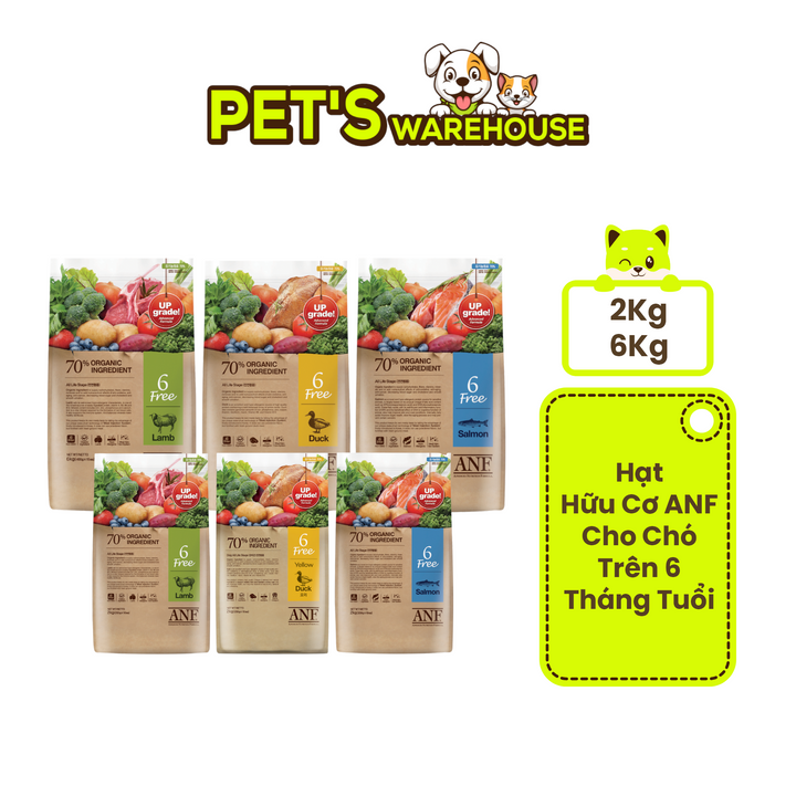 [2KG - 6KG] Hạt Anf 6Free Chó Trên 6 Tháng Tuổi