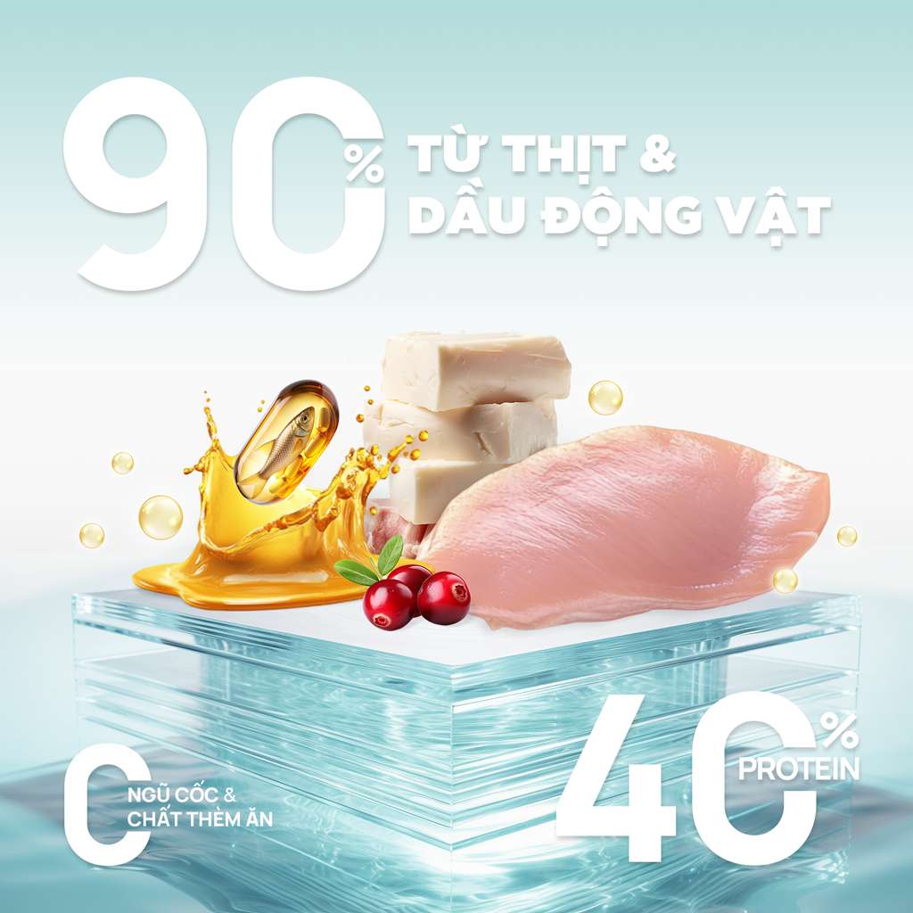 [1KG] Hạt Nhân Thịt Cho Mèo PetQ Churro Mèo Mọi Lứa Tuổi