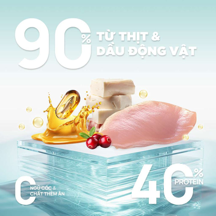 [1KG] Hạt Nhân Thịt Cho Mèo PetQ Churro Mèo Mọi Lứa Tuổi