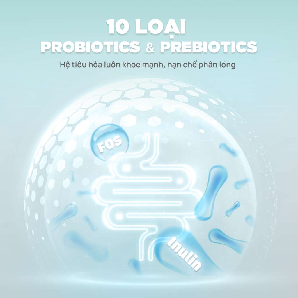 [1KG] Hạt Nhân Thịt Cho Mèo PetQ Churro Mèo Mọi Lứa Tuổi