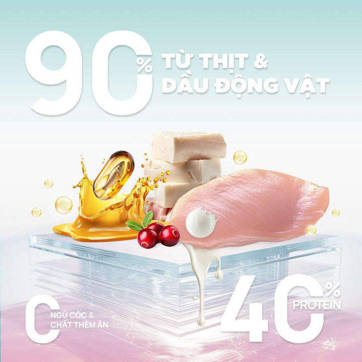 [1KG] Hạt Nhân Thịt Cho Mèo PetQ Churro Mèo Mọi Lứa Tuổi