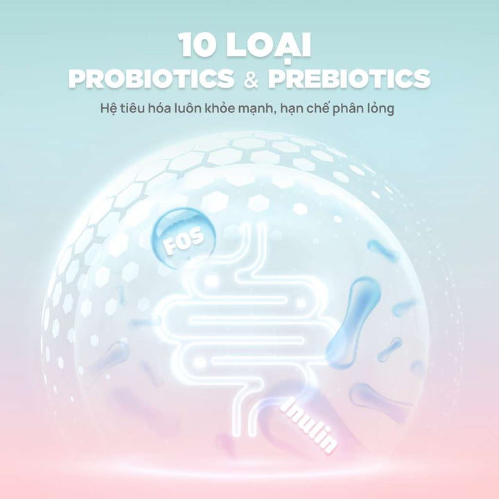 [1KG] Hạt Nhân Thịt Cho Mèo PetQ Churro Mèo Mọi Lứa Tuổi