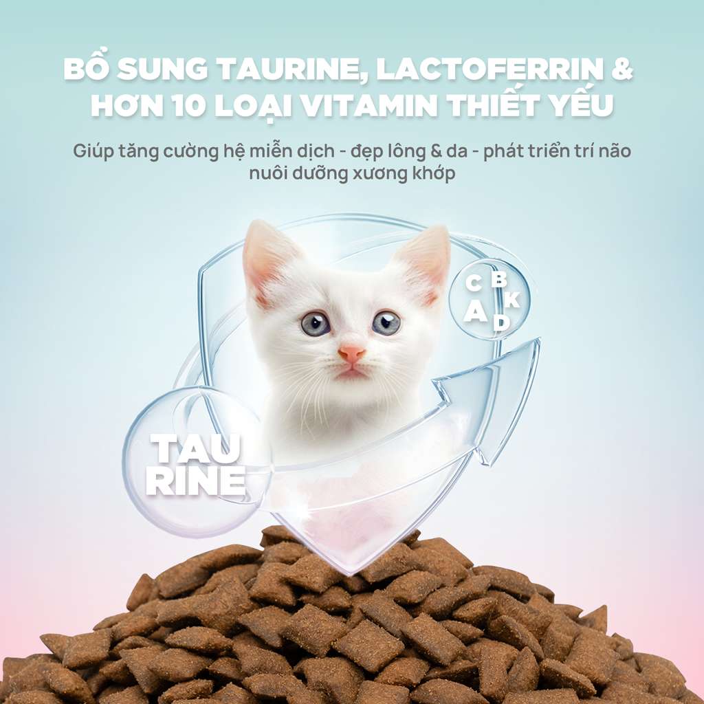 [1KG] Hạt Nhân Thịt Cho Mèo PetQ Churro Mèo Mọi Lứa Tuổi