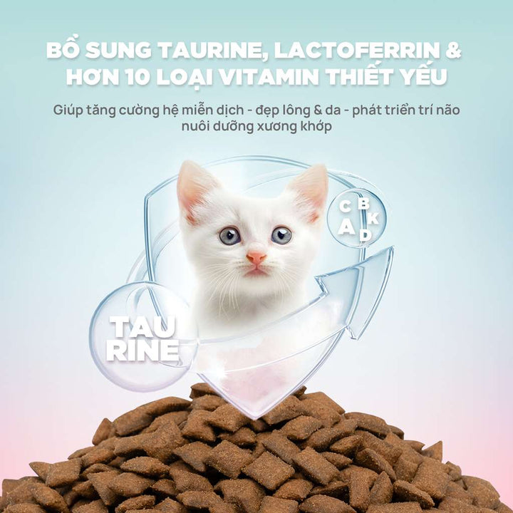 [1KG] Hạt Nhân Thịt Cho Mèo PetQ Churro Mèo Mọi Lứa Tuổi