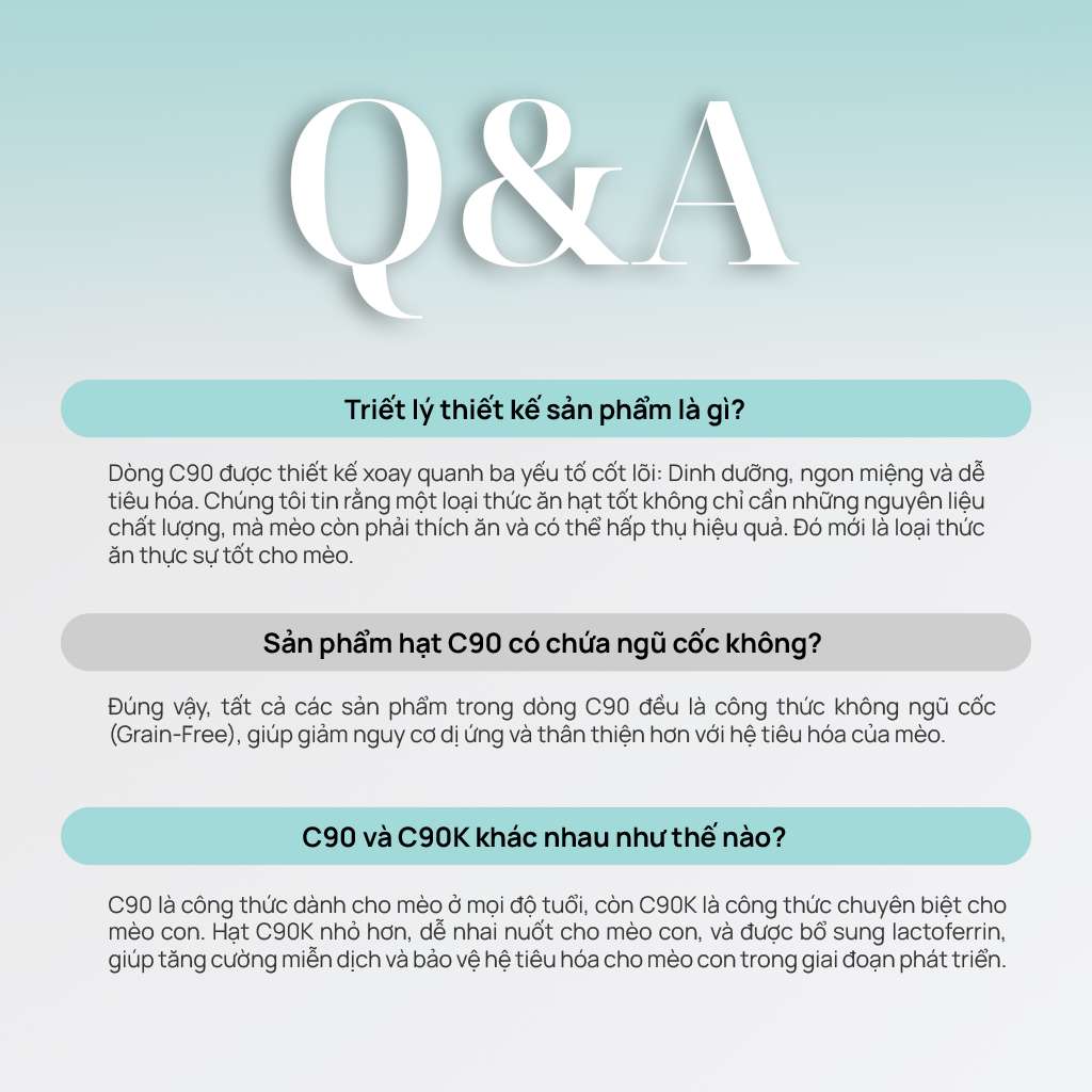 [1KG] Hạt Nhân Thịt Cho Mèo PetQ Churro Mèo Mọi Lứa Tuổi