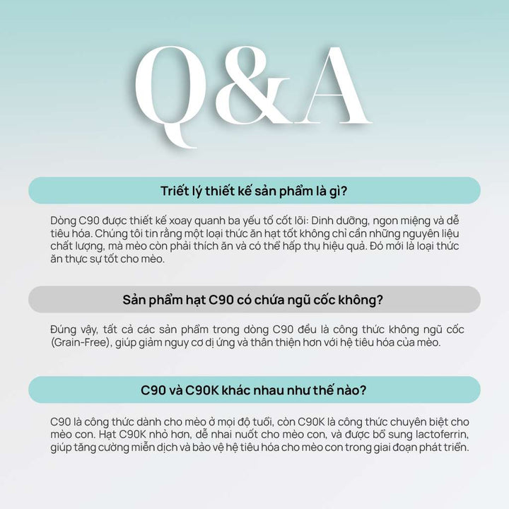 [1KG] Hạt Nhân Thịt Cho Mèo PetQ Churro Mèo Mọi Lứa Tuổi