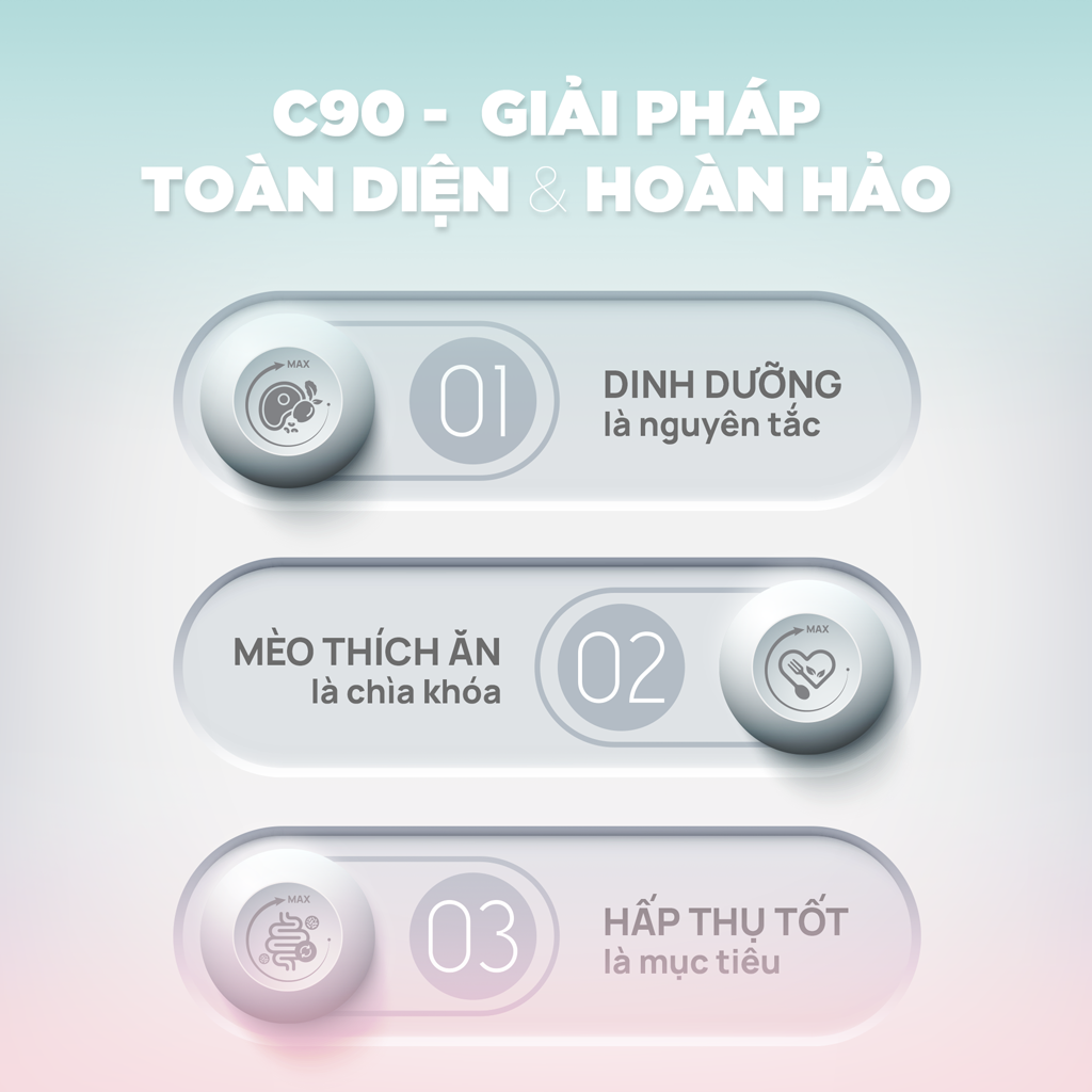 [1KG] Hạt Nhân Thịt Cho Mèo PetQ Churro Mèo Mọi Lứa Tuổi