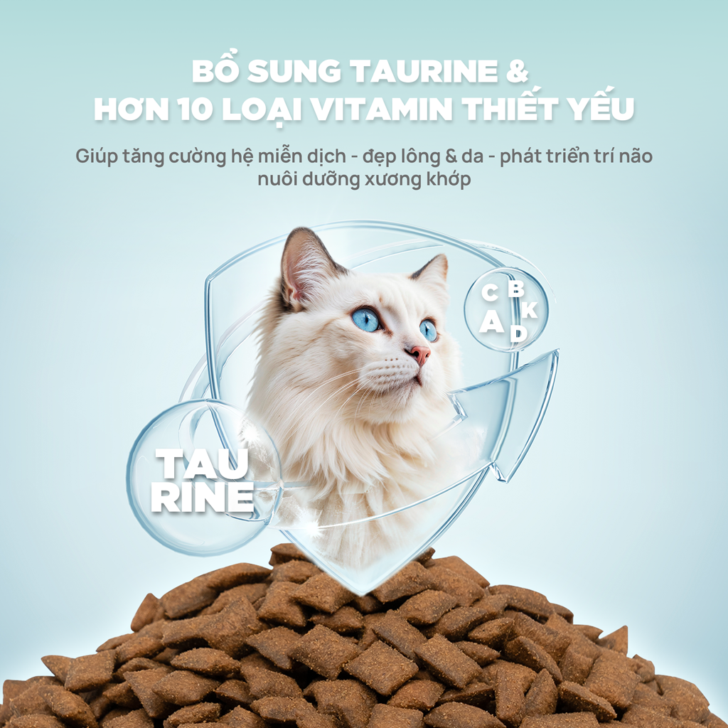 [1KG] Hạt Nhân Thịt Cho Mèo PetQ Churro Mèo Mọi Lứa Tuổi