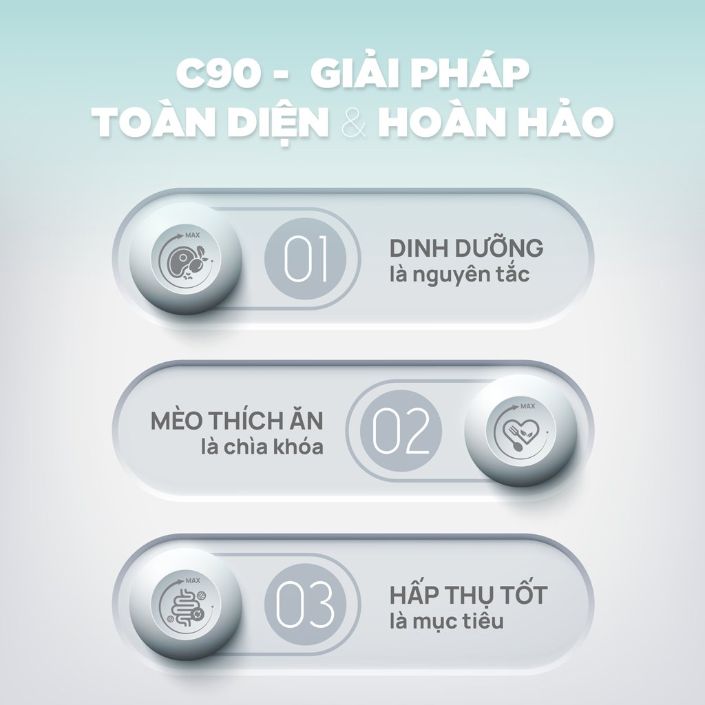 [1KG] Hạt Nhân Thịt Cho Mèo PetQ Churro Mèo Mọi Lứa Tuổi