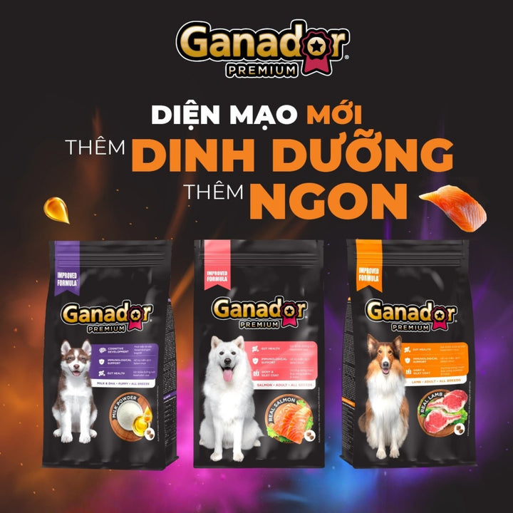 [Combo 4 Gói] Hạt Ganador Cho Chó Mọi Lứa Tuổi – Nhiều Vị Ngon, Túi 400g