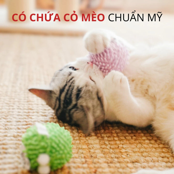 Đồ Chơi Fofos Banh Tròn Nhiều Hình Chó Mèo