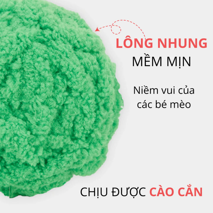 Đồ Chơi Fofos Banh Tròn Nhiều Hình Chó Mèo