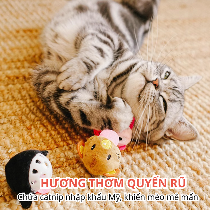 Đồ Chơi Fofos Banh Tròn Nhiều Hình Chó Mèo