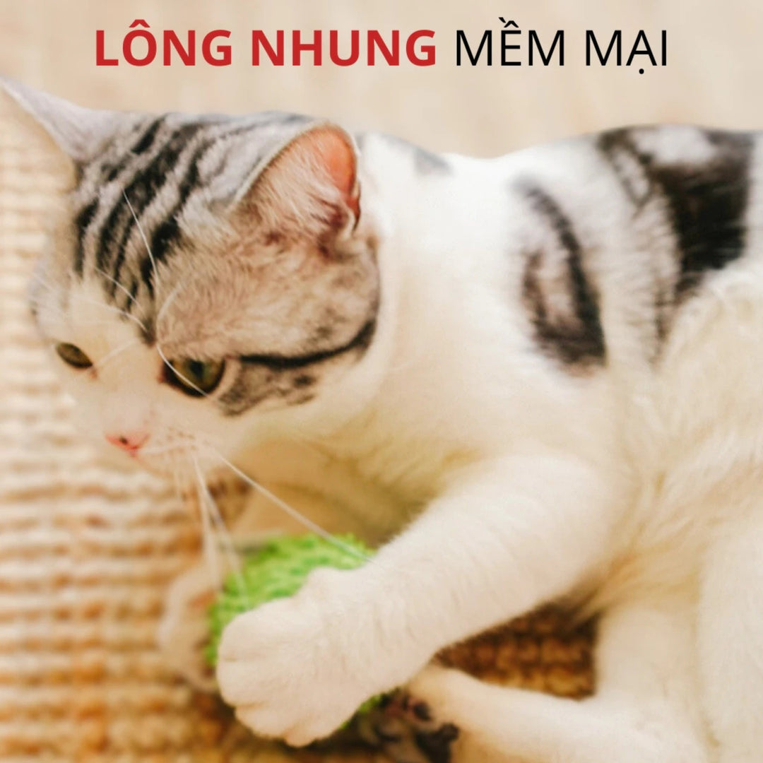Đồ Chơi Fofos Banh Tròn Nhiều Hình Chó Mèo
