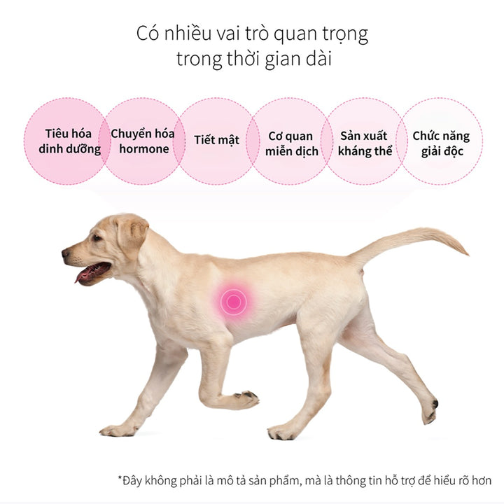 Hạt Cho Chó DR. HEALMEDIX HEPATIC (D/H) - HỖ TRỢ GAN