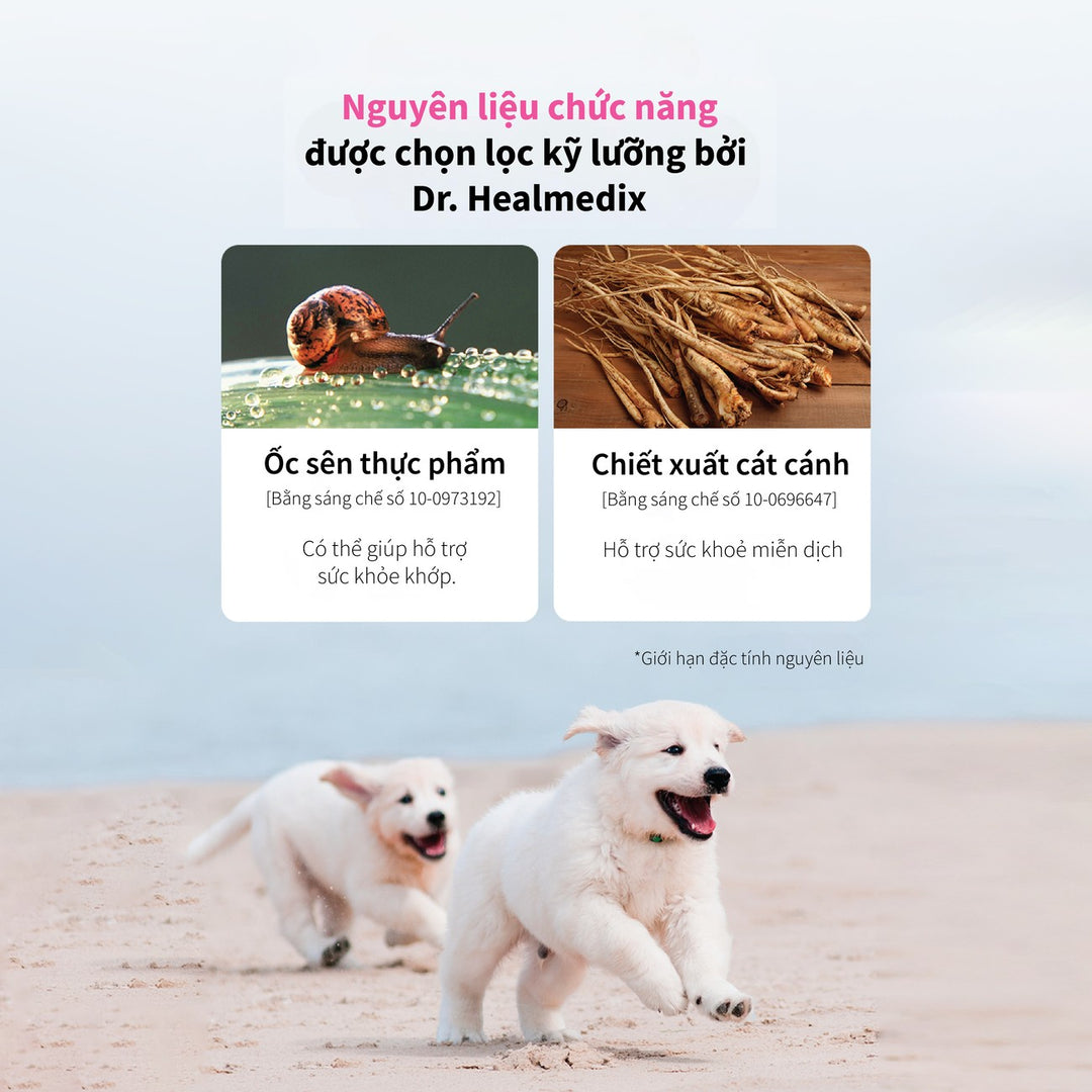 Hạt Cho Chó DR. HEALMEDIX HEPATIC (D/H) - HỖ TRỢ GAN