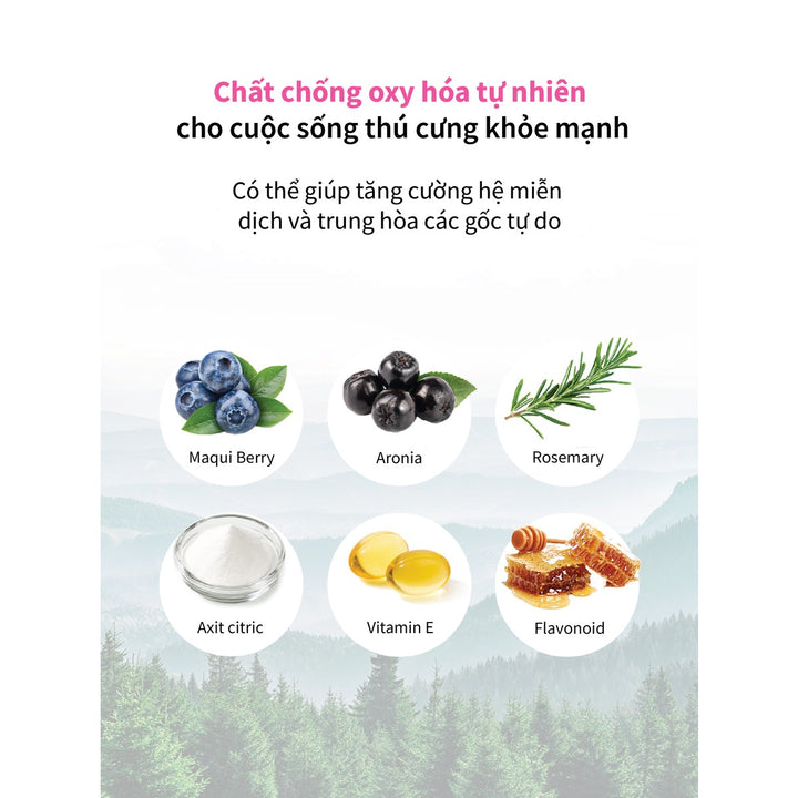 Hạt Cho Chó DR. HEALMEDIX HEPATIC (D/H) - HỖ TRỢ GAN