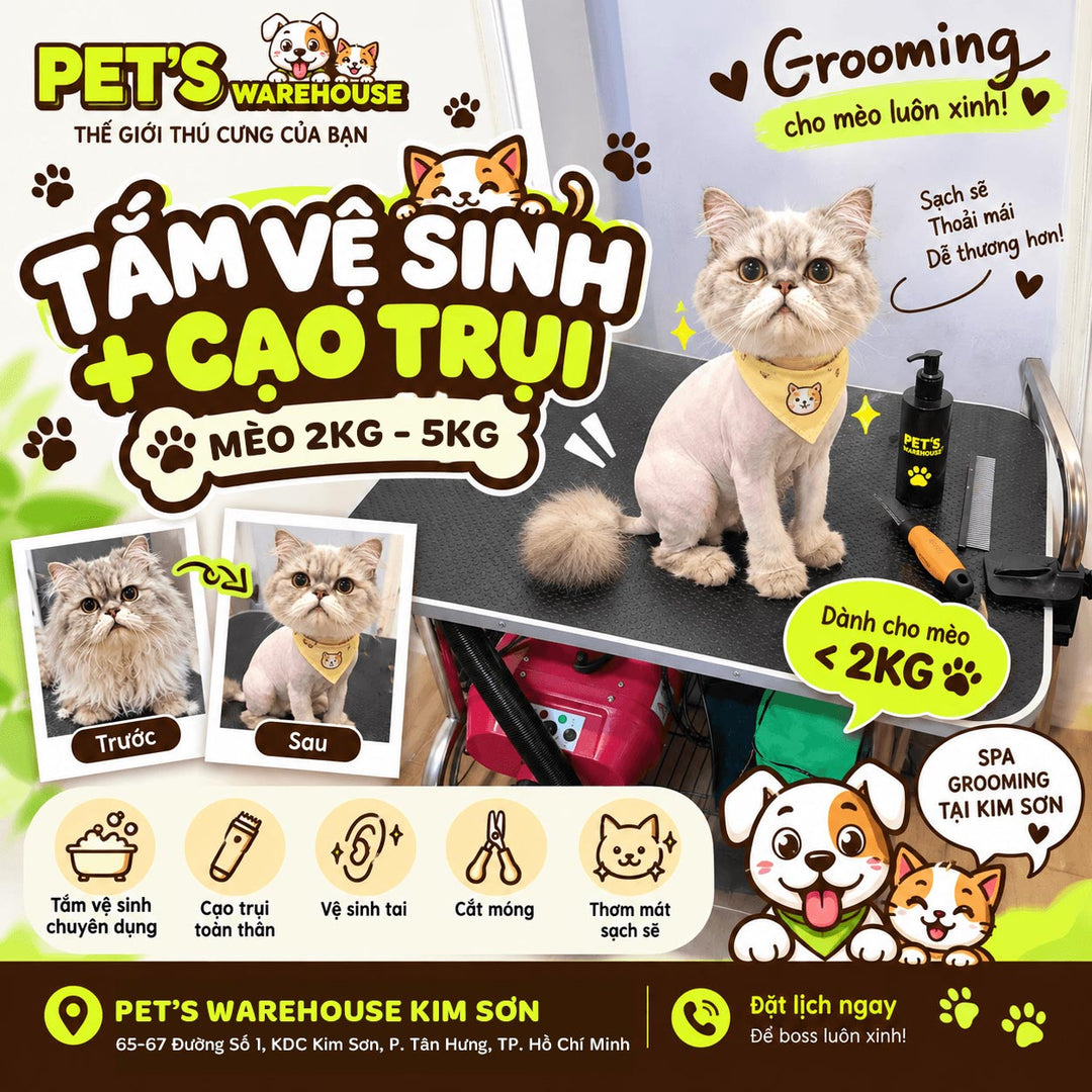SPA - GROOMING MÈO - Chi Nhánh Kim Sơn