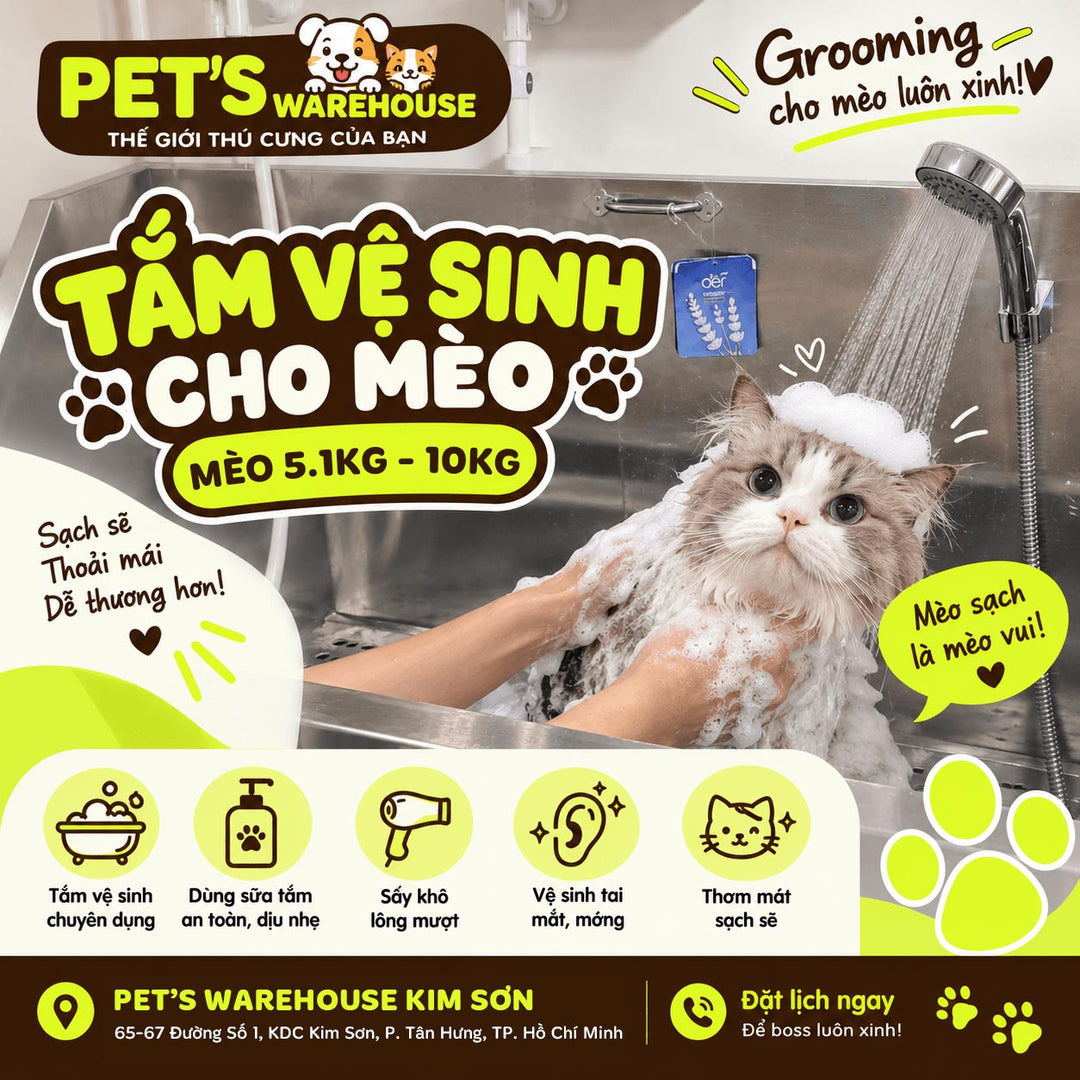 SPA - GROOMING MÈO - Chi Nhánh Kim Sơn