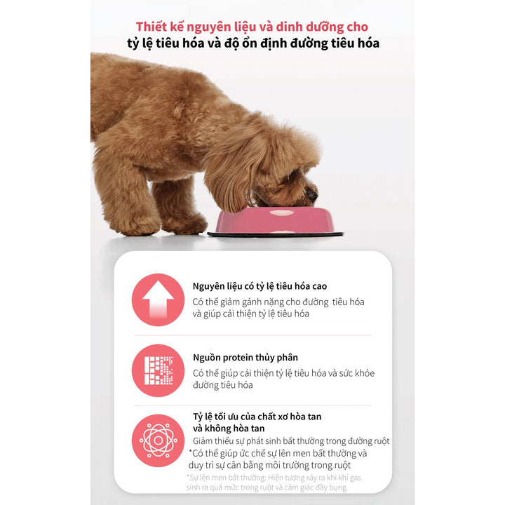 Hạt Cho Chó DR. HEALMEDIX INTESTINAL (D/L) - HỖ TRỢ ĐƯỜNG RUỘT , Túi 1.5Kg