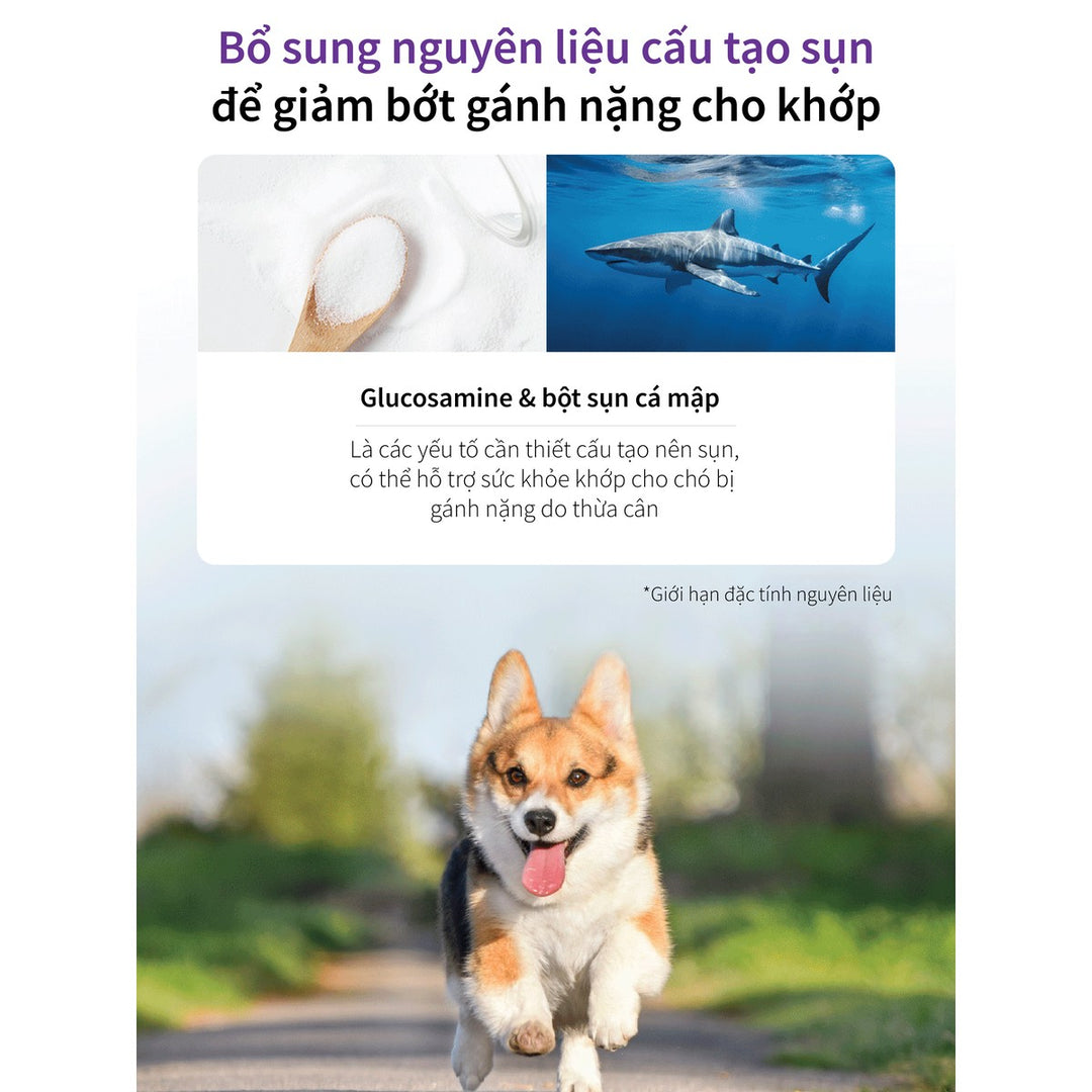 Hạt Cho Chó DR.HEALMEDIX OBESITY (D/O) - HỖ TRỢ CHÓ BÉO PHÌ , Túi 1.5Kg