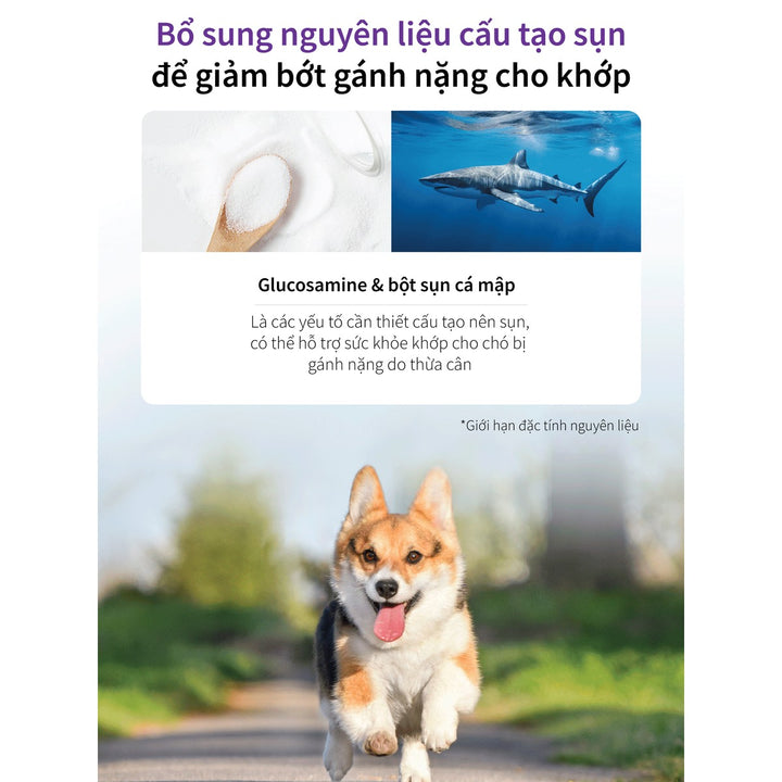 Hạt Cho Chó DR.HEALMEDIX OBESITY (D/O) - HỖ TRỢ CHÓ BÉO PHÌ , Túi 1.5Kg