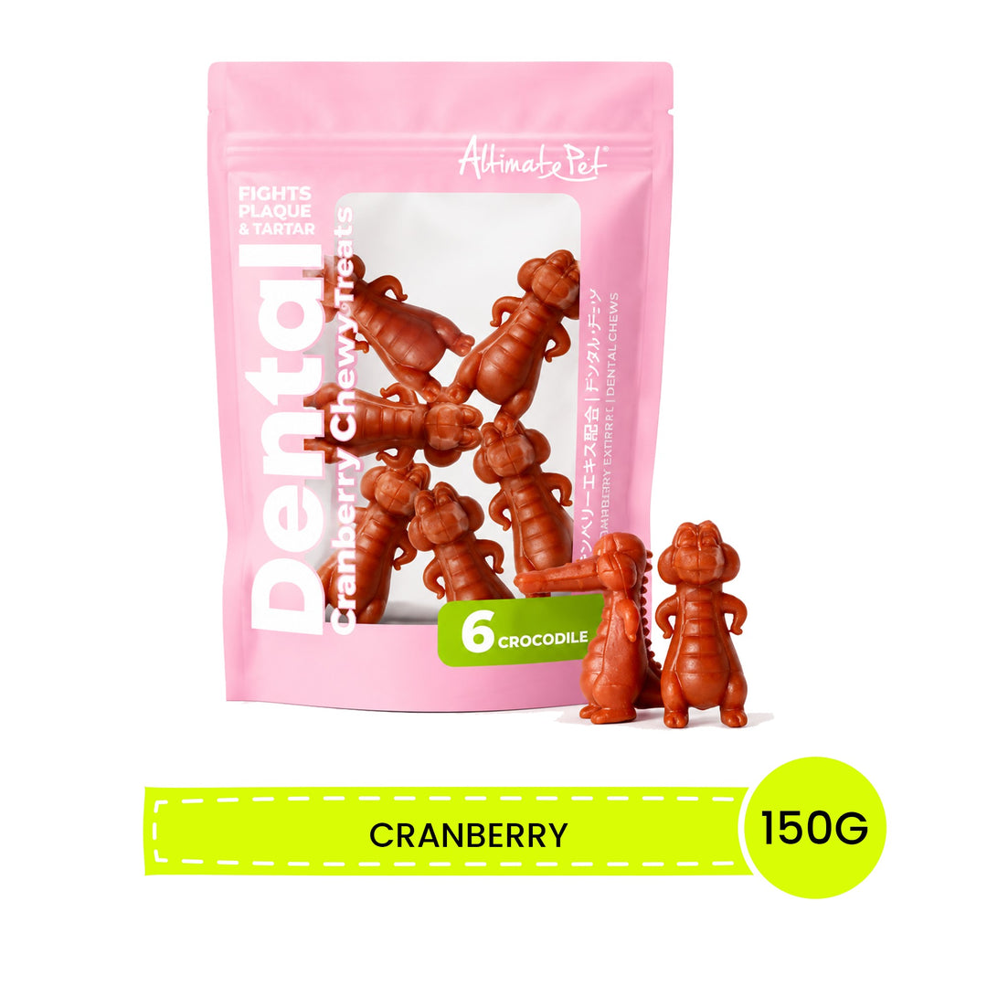 Xương Gặm Sạch Dental Chew Răng Cá Sấu 150G