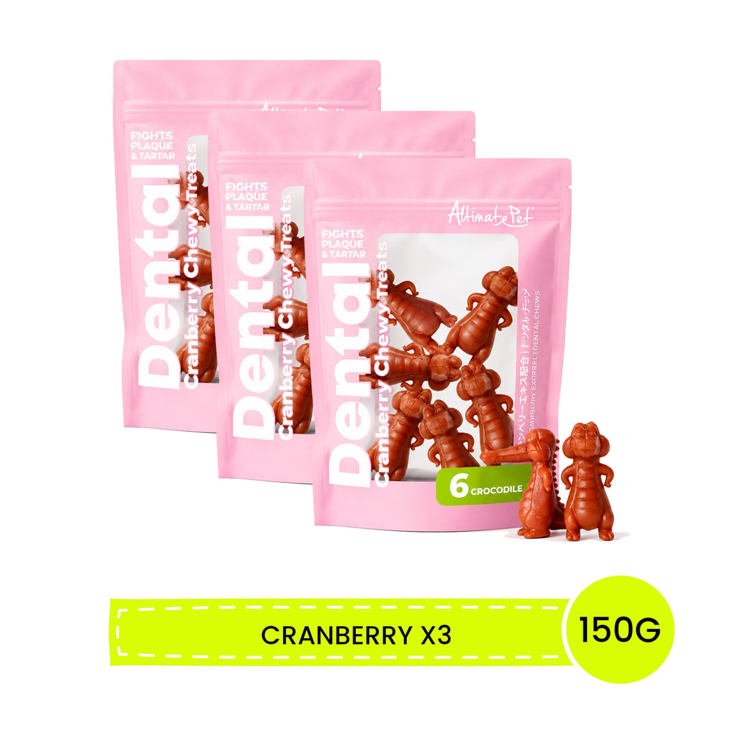 Xương Gặm Sạch Dental Chew Răng Cá Sấu 150G