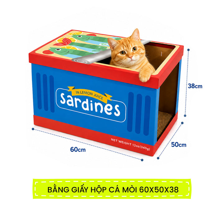 Bộ Cào Móng FOFOS Cho Mèo