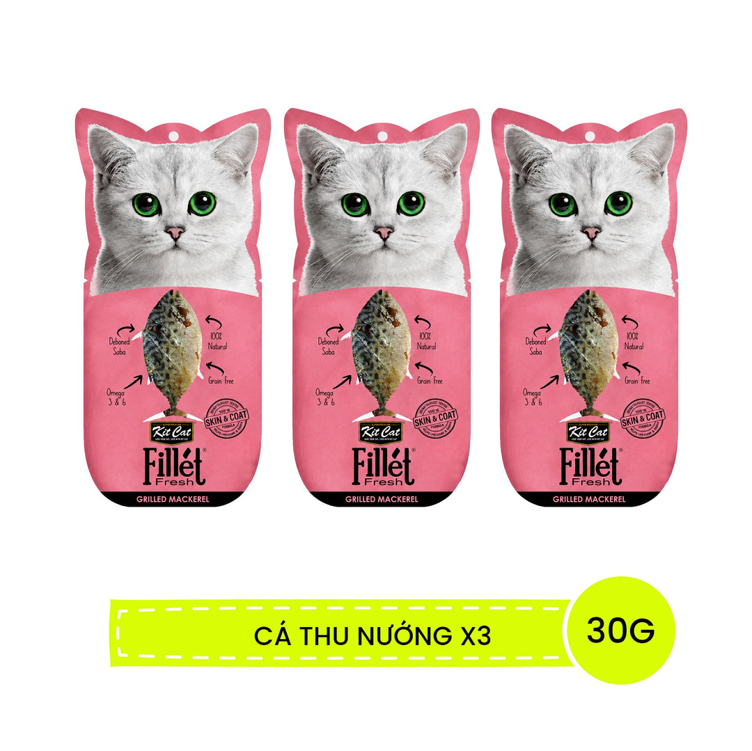 Fillet KitCat Cho Mèo Mọi Lứa Tuổi 30G