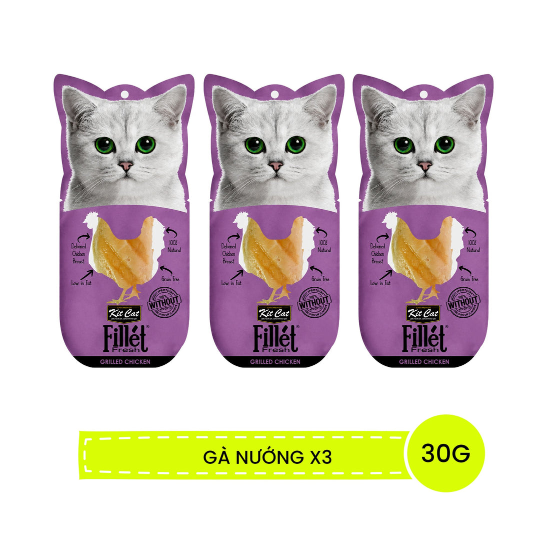 Fillet KitCat Cho Mèo Mọi Lứa Tuổi 30G