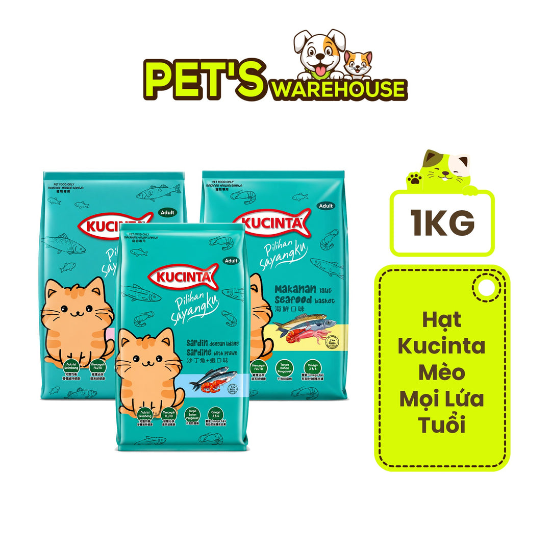 Hạt Kucinta Mèo Mọi Lứa Tuổi 1KG
