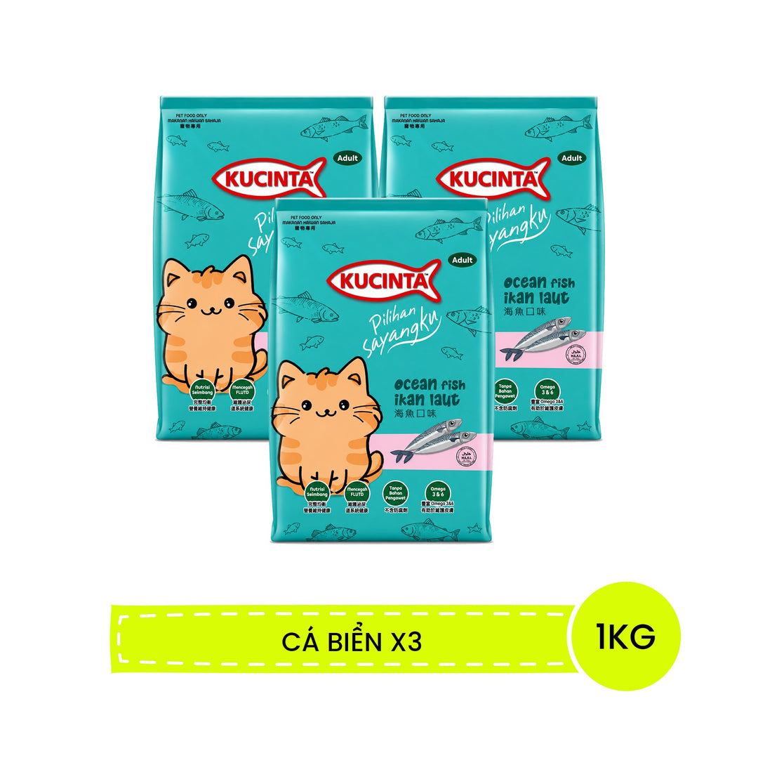 Hạt Kucinta Mèo Mọi Lứa Tuổi 1KG
