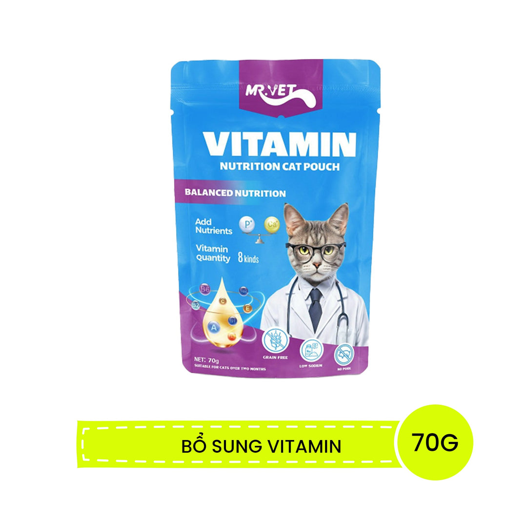 Pate Cho Mèo Mr.Vet 70G