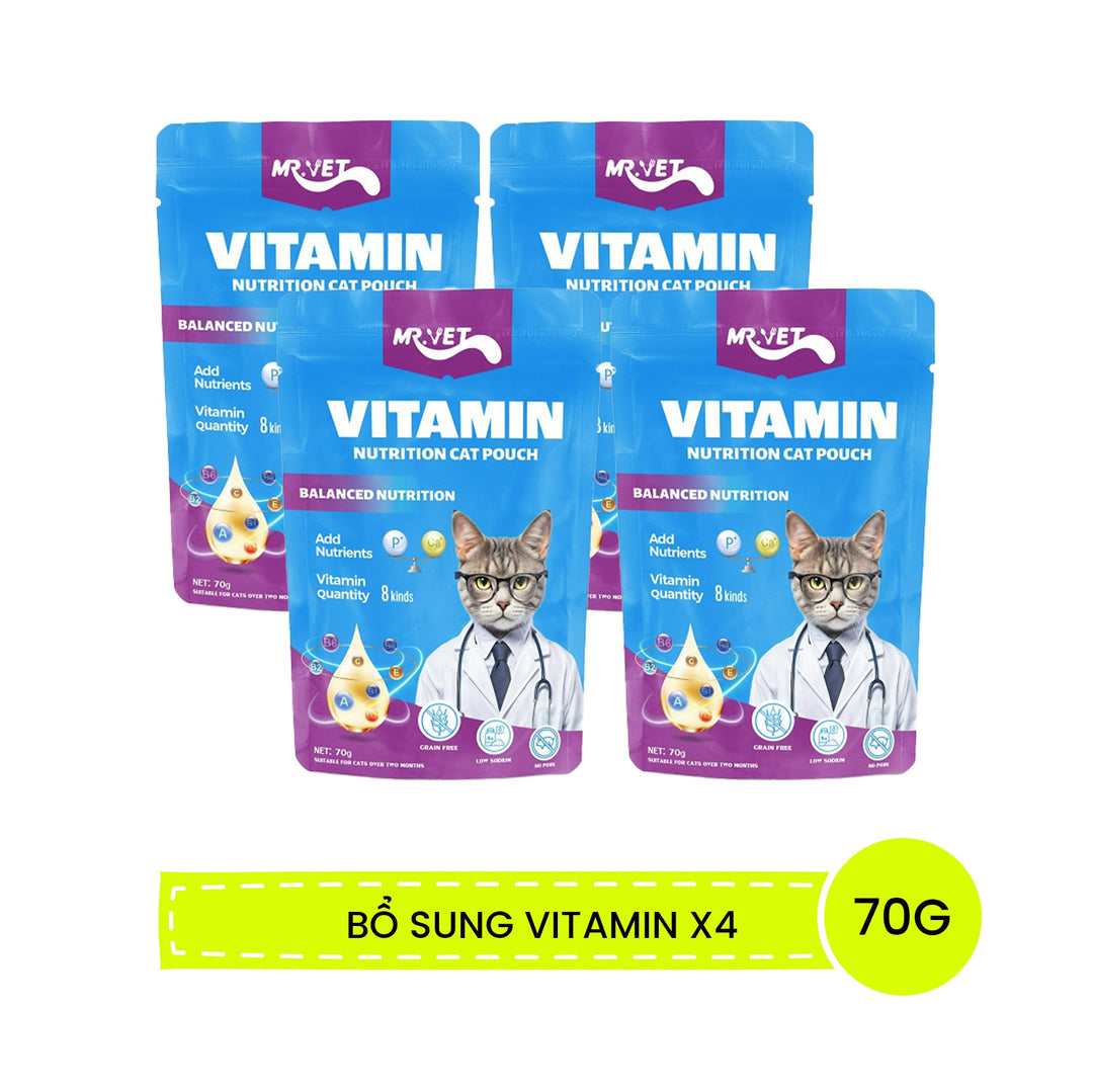 Pate Cho Mèo Mr.Vet 70G