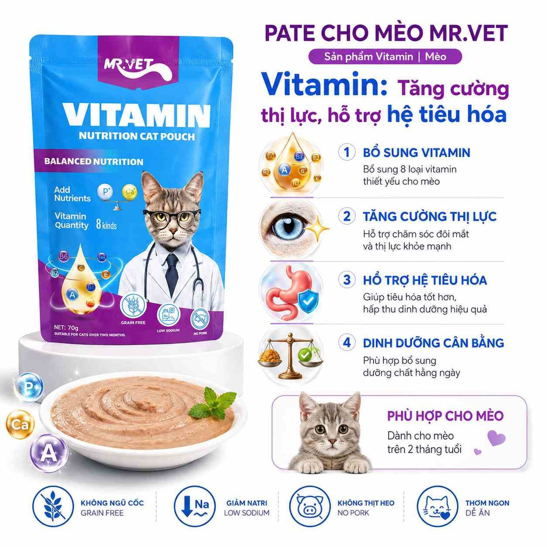 Pate Cho Mèo Mr.Vet 70G