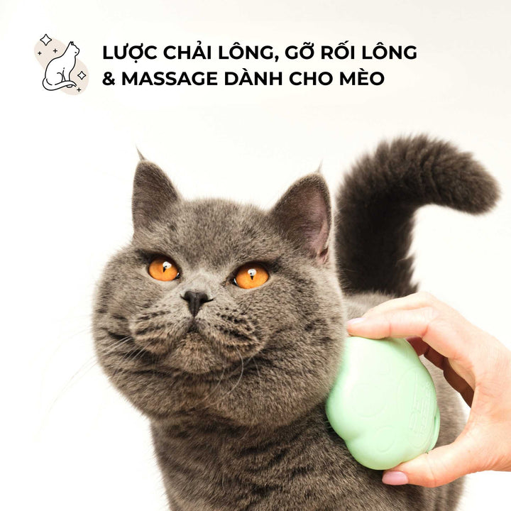 Lược gỡ rối Tangle Teezer cho mèo - Cat Teezer