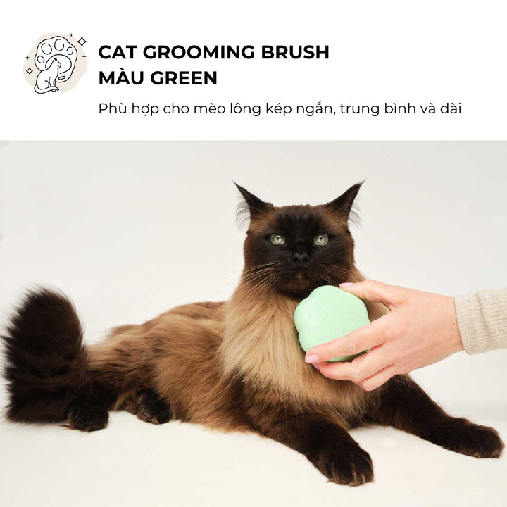 Lược gỡ rối Tangle Teezer cho mèo - Cat Teezer