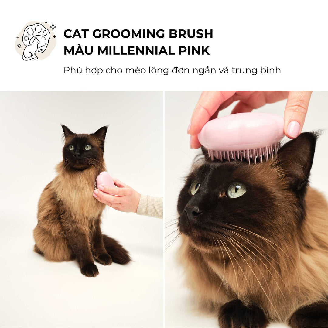 Lược gỡ rối Tangle Teezer cho mèo - Cat Teezer